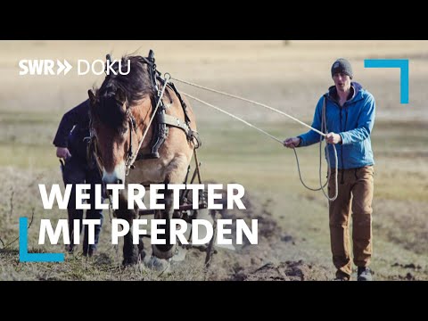 Weltretter mit einem PS - Ein Handwerker und seine Landwirtschaft mit Pferden | SWR Doku