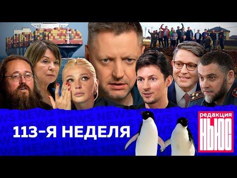Редакция. News: 113-я неделя