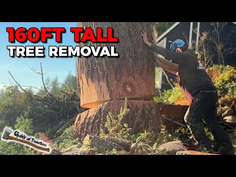 3 other climbers COULDN’T finish this tree!