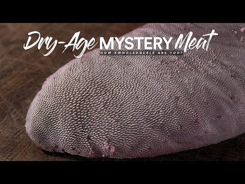 I dry-aged this MYSTERY Meat, ate it and this happened!