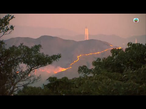 香港無綫｜7:30一小時新聞｜2025年1月12日｜
