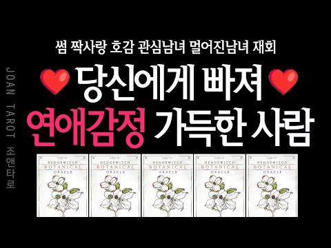 [타로] 당신에게 푹 빠져서 ❤️연애감정❤️을 가지고 표현해올 사람-구페 뉴페