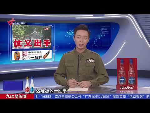 【DV现场】老广“宵夜第一街”华丽变身 海珠宝业路烟火气重临|肇庆：小区外墙严重开裂 业主担心楼宇安全|深圳外卖小哥遇迷路婆婆 仗义出手将其送到东莞找老友|20251212完整版#粤语 #news