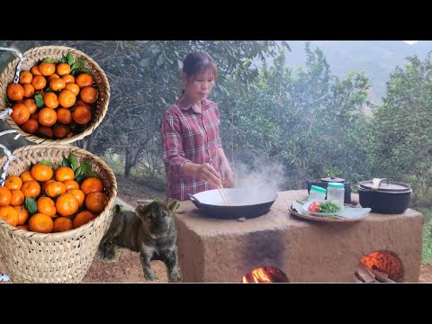 The new stove, the fire warming the soul of the single woman "Ly Tieu An"