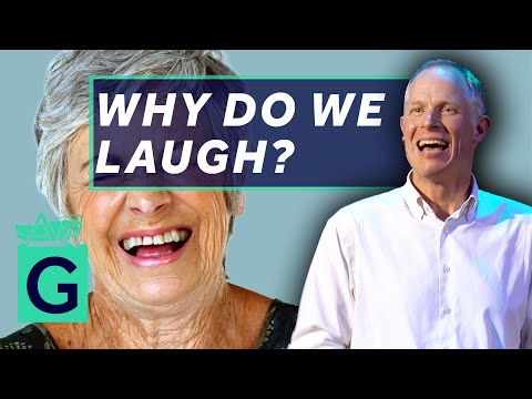 Why Do We Laugh? - Robin May