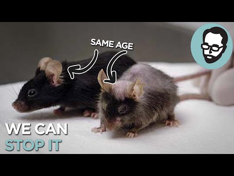 We're Shockingly Close To A Cure For Aging | Answers With Joe