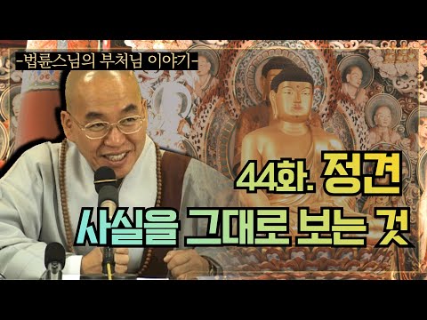 [법륜스님의 부처님 이야기] 44. 정견 사실을 그대로 보는 것