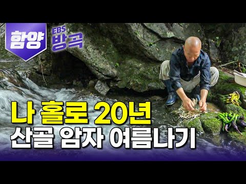 [경남 함양] 절터만 남아있던 버려진 암자 일구려 들어와 20년, 흔한 꽃잎 하나도 귀하게 여기며 홀로 산사에서 수행하는 스님｜향운암｜#한국기행 #방방곡곡