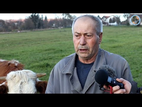 „Majka je otišla a mi nismo htjeli sa njom, uvrijedila nas“