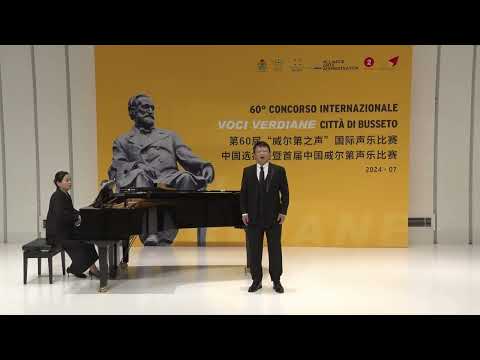 Lunge da lei .....De miei bollenti spiriti .....oh mio rimorso! oh infamia —xuchen Zhang