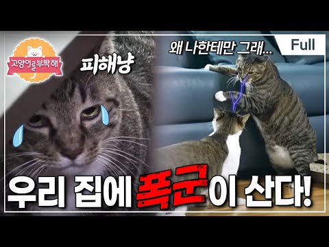 [Full] 고양이를 부탁해 - 우리 집에 폭군이 산다!