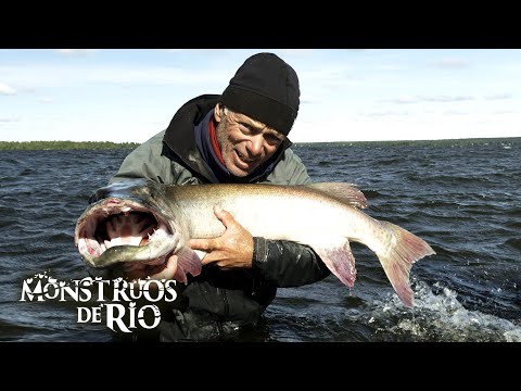 Asesino de Agua Fría de Alaska: Sospechoso de las Profundidades | T7 E04 | Monstruos de Río