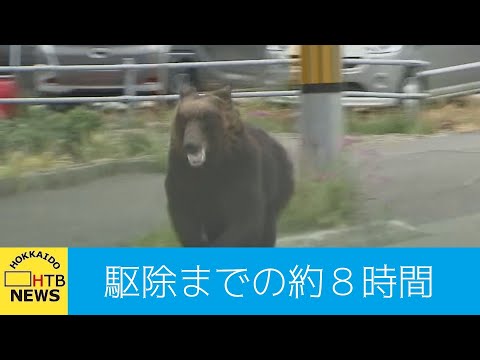 「後ろ見たらクマがバーっと来ていた…」札幌・東区の住宅街にクマ…通報から駆除までの約８時間