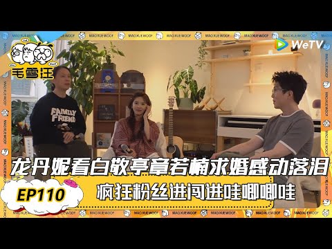 EP110超长沉浸版：龙丹妮看白敬亭章若楠求婚感动落泪！|《毛雪汪》EP110 PLUS #综艺 #毛雪汪 #李雪琴 #毛不易 #龙丹妮 #章若楠