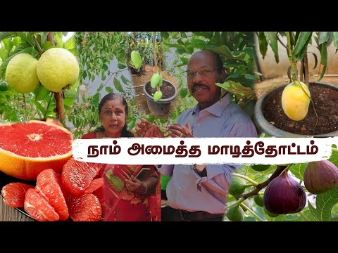🌿 Madhavaram Terrace Garden Setup | Subscriber வீட்டு தோட்டம் with 12+ Exotic Fruiting Trees 🍋🥭