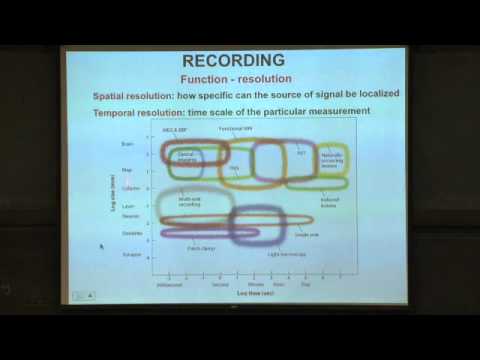 Lec 4 | MIT 9.00SC Introduction to Psychology, Spring 2011