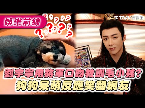 劉宇寧用將軍口吻教訓毛小孩？ 狗狗呆萌反應笑翻網友