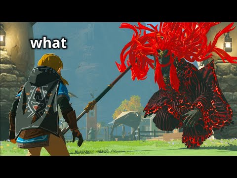 I Maxed Out Tears of the Kingdom's Randomizer