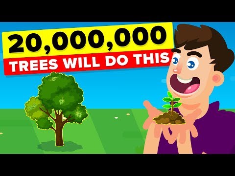 Planting 20,000,000 Trees Will Actually Have This Impact
