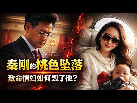 秦刚的桃色坠落：从副国级外长到书店白发老人，致命情妇如何毁了他？