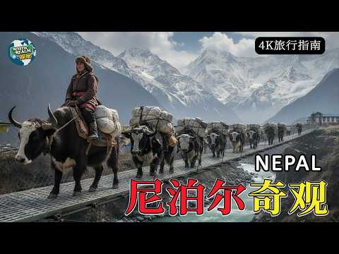尼泊尔 | 世界看不见的喜马拉雅艰难生活 | 4K纪录片