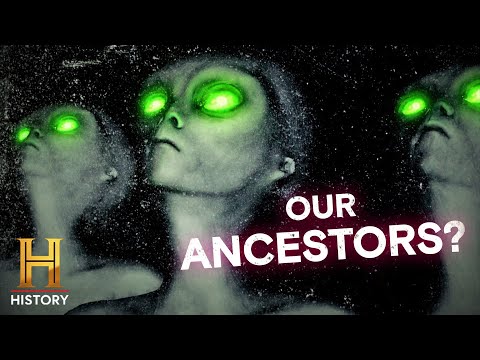 Inside the Mystery of the Greys | Ancient Aliens