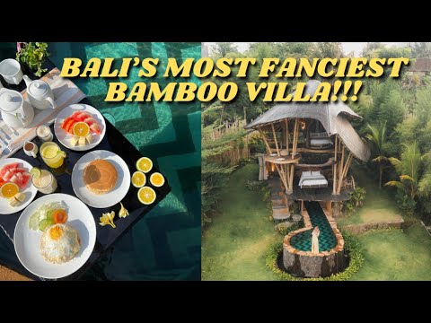 Is this the best bamboo house in Bali?  🇮🇩 - VELUVANA Cobra House Tour $200