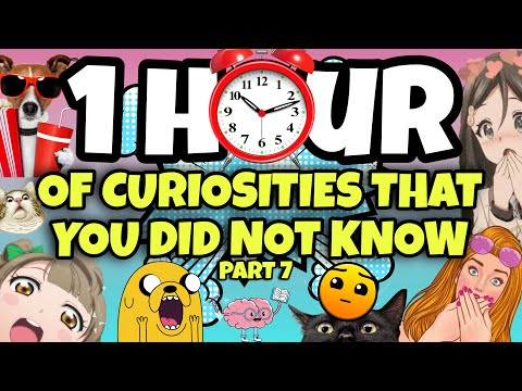 1 HOUR OF CURIOSITIES AND THINGS YOU DIDN'T KNOW 🧠⏰ #7