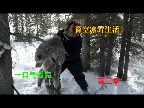 一口气看完，育空冰雪生活第三季，看阿拉斯加村民如何挑战恶劣的环境