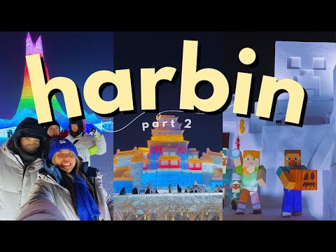 we froze our butts off to make it to the ice & snow festival | vlog