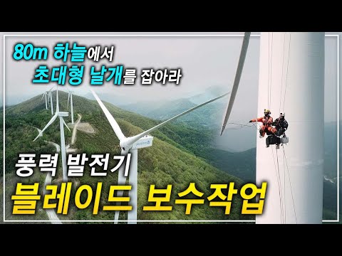 엄청난 크기와 속도! KTX만큼 빠르게 돌아가는 초대형 날개를 보수하기 위해 각 분야 로프 전문가가 모였다!ㅣ풍력 발전기 날개 보수반ㅣ극한직업│#골라듄다큐