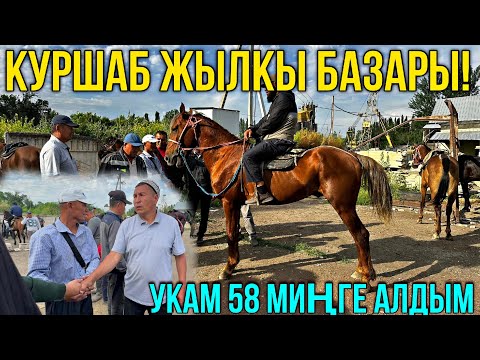 БАКЫТ АКА ДАДИЛ СООДА КЫЛАТ ДА 😯 #байтв