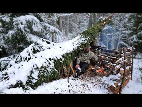 Winter Camping at a Primitive Bushcraft Shelter