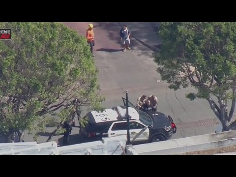 Pursuit suspect leads officers on a chase in a suspected stolen BMW