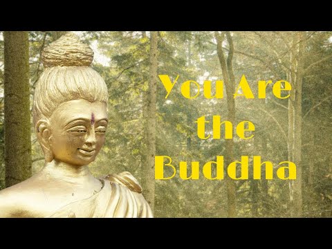 The Radical Truth the Buddha Discovered (And So Can You)