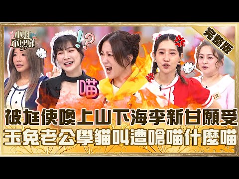 真把我當女僕？被尪使喚「上山下海」李新甘願受？玉兔老公賣萌學貓叫遭嗆：喵什麼喵！【#小姐不熙娣】20250422 完整版 EP788  楊皓如 何嘉文