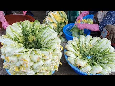 (Korean countryside) Kimchi-making day for the whole family! I feel so happy after making kimchi.