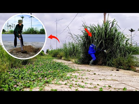 Retired Soldier's Amazing Health Helps Us Transform Abandoned Sidewalk - How Old Do You Think He Is?