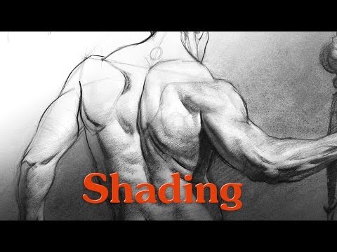 How to Shade a Drawing
