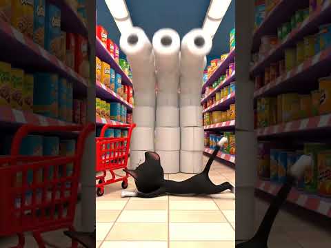 Funny Mouse Cute Cat