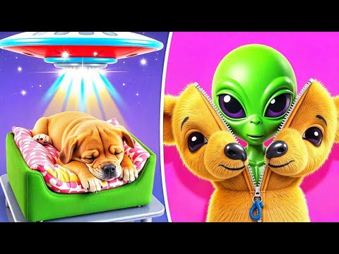 An Unexpected Surprise 🛸🐶 Fun DIY Craft Adventure