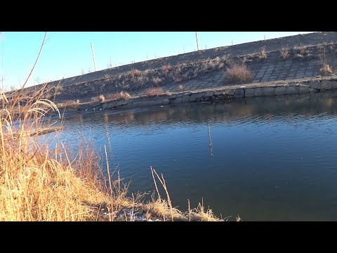 Ловлю на рачка