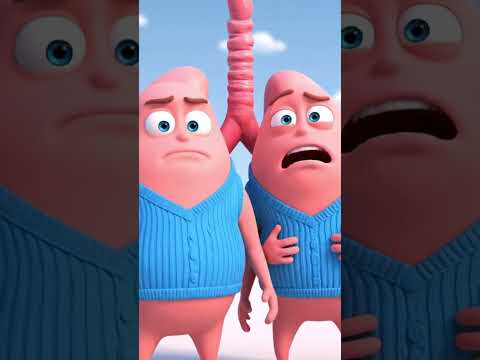 What Happens To Your Organs When You Run? | The Organ Story