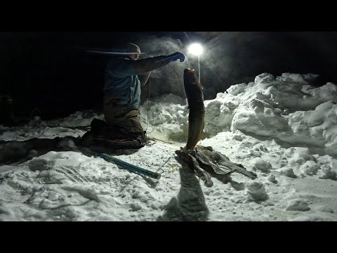 TRANSFER | CHECK 12/19/2025