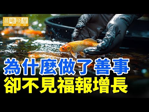 为什么做了善事，却没有福报？｜神傳文化｜知識分享｜人生智慧 【晨曦曉屋】