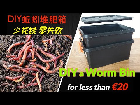 【DIY蚯蚓堆肥箱】蚯蚓终于到了🍀蚯蚓箱也做出来了(可堆叠 不占空间)✔️少花钱✔️零失误✔️解决厨余垃圾🍀How to DIY a stackable Worm Bin for less €20