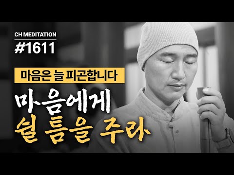 1611일 수행ㅣ오탁악세의 등불이 되어주세요 ✔️마음은 늘 피곤합니다 ✔️마음에게 쉴 틈을 주라 🧘‍♂️등불명상