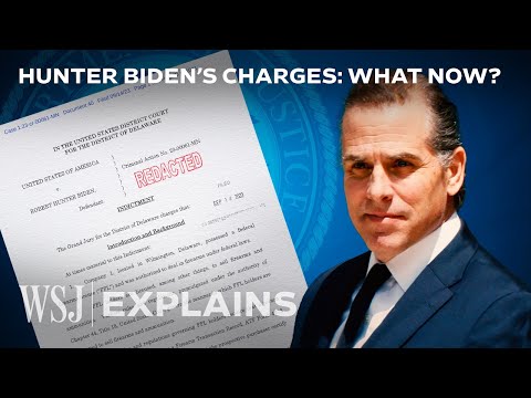 Hunter Biden’s Legal Troubles, Explained: A Gun, Unpaid Taxes and More | WSJ