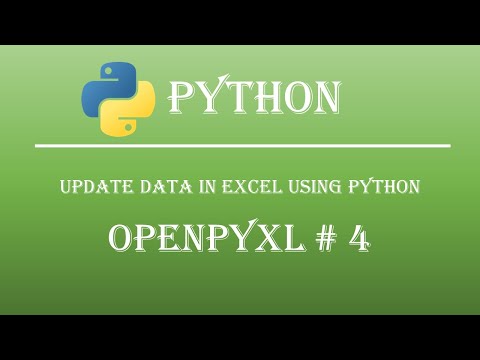 How to Write/Update Data in Excel Using Python. Openpyxl Tutorial #4