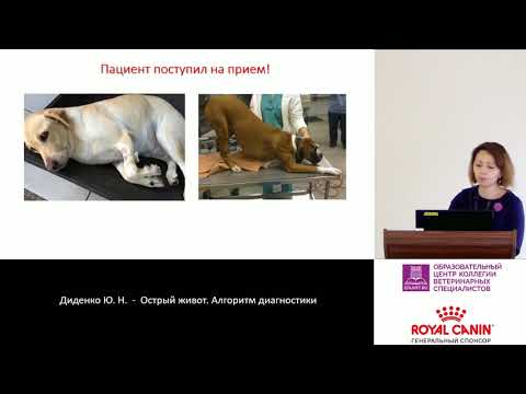 Didenko Yu. N. - Acute abdomen. Diagnostic algorithm